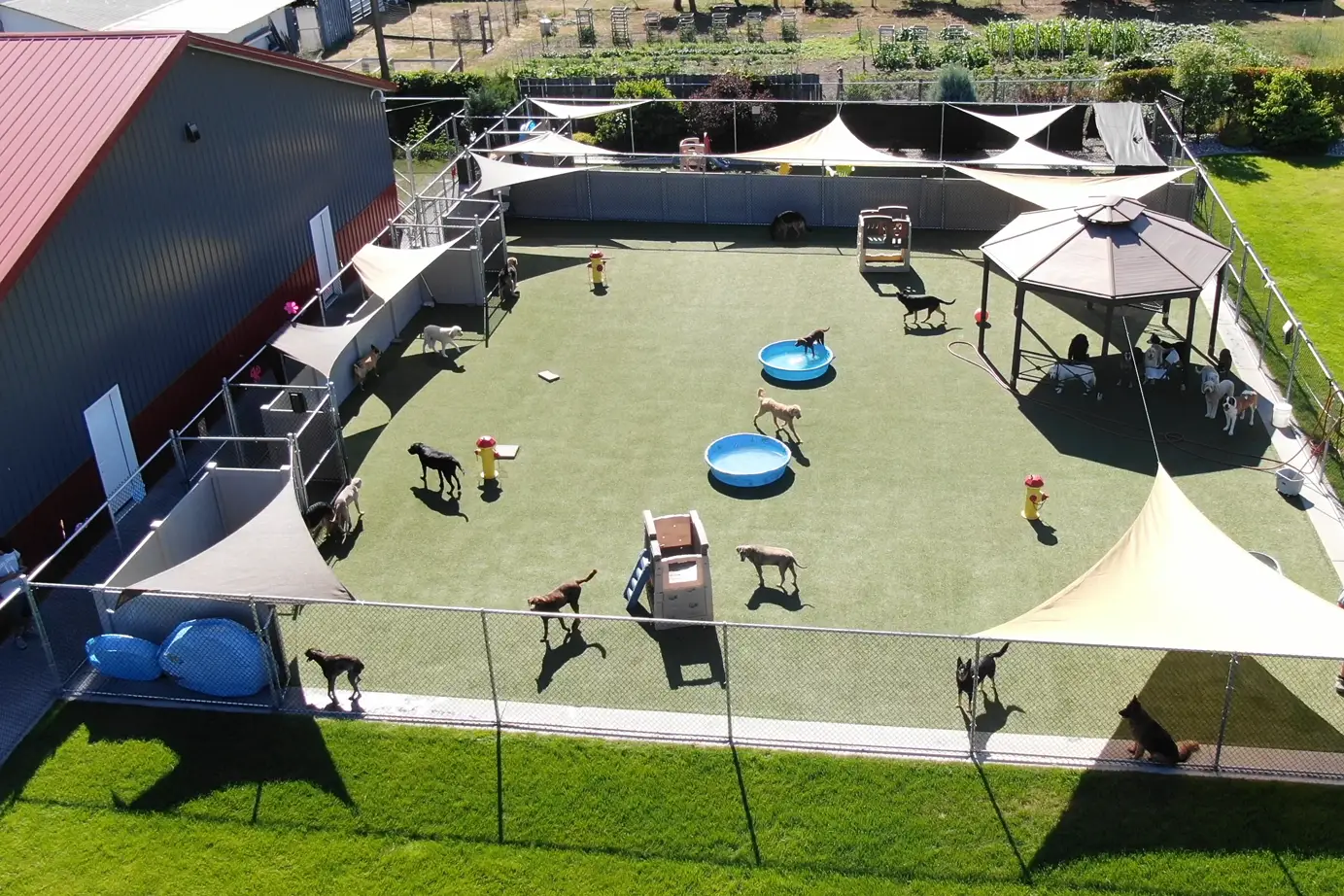 Khám Phá Https K9Cc.Tech – Công Nghệ Đột Phá